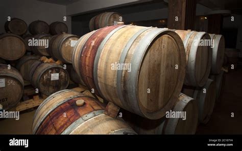 Wine Barrels In Cellar Stock Photo Alamy