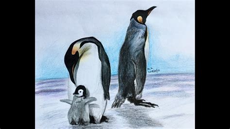 How To Draw Emperor Penguins Youtube