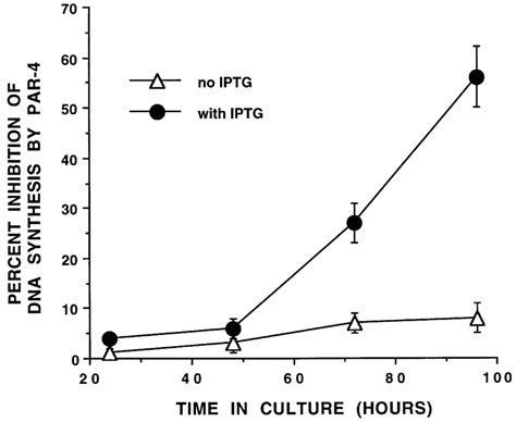 Restoration Of Par 4 Levels By Ectopic Expression Abrogates Transformed