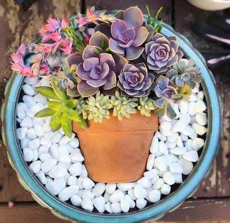 60+ DIY Indoor Succulent Arrangements Ideas 2019 - Page 17 of 61 ...