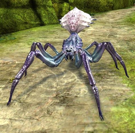 Araña de la selva adolescente Guild Wars 2 Wiki