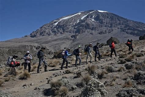 Tour Days Marangu Route Climbing Kilimanjaro The Coca Cola Route The