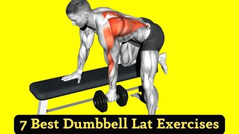 7 Best Dumbbell Lat Exercises Build V Shape Back Youtube