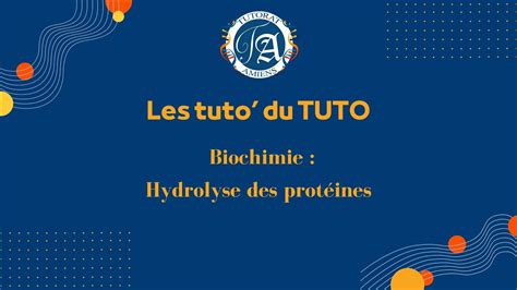 Les tuto du TUTO Hydrolyse des protéines YouTube