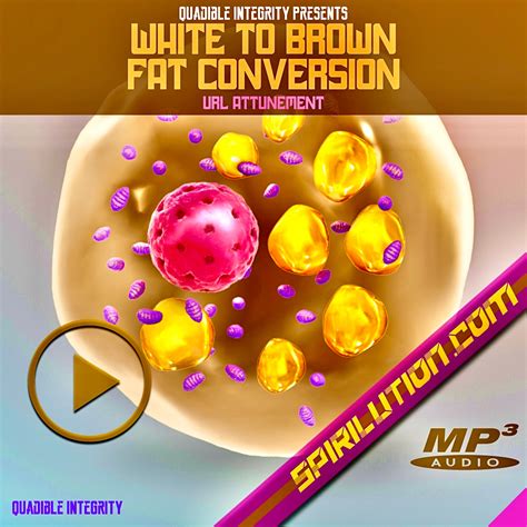 ★White to Brown Fat Conversion★ Increase Thermogenesis + Boost Health ...