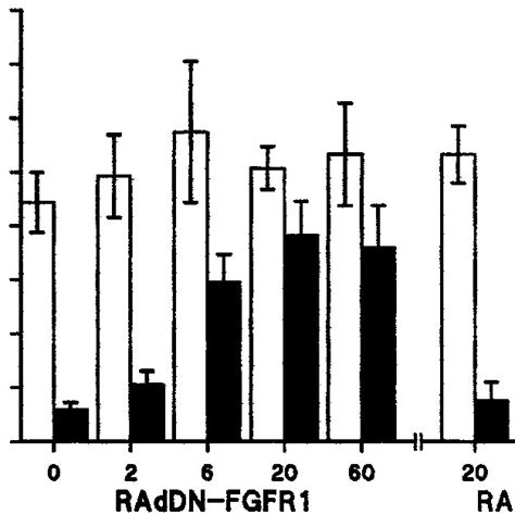 Effect Of Raddn Fgfr On Radfgf Effects On I Uptake In Frtl