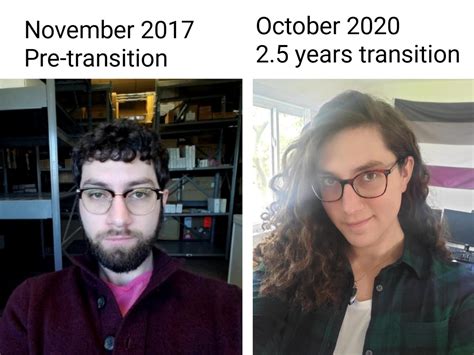 1119 Best Transition Timeline Images On Pholder Transtimelines Lgbt