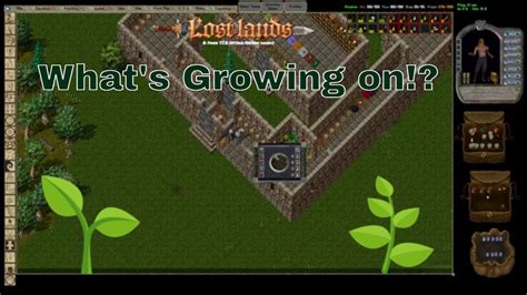 Ultima Online T A Lost Lands Plant Growing Guide Youtube