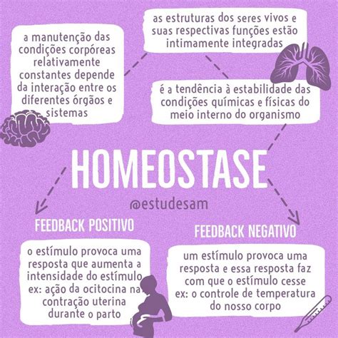 Feedback Positivo E Negativo Fisiologia - Homeostase; Feedback Positivo; Feedback Negativo | Homeostase, Anatomia ...