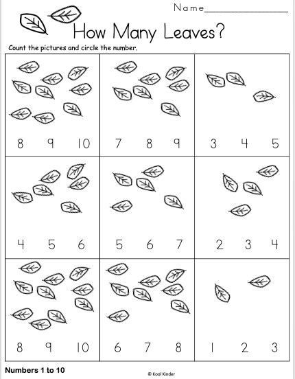 Leaves Worksheets For Kids