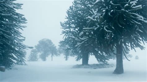 Meteorologii ANM anunță zonele din România unde va ninge în această