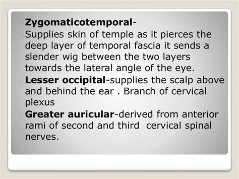 Anatomy of scalp