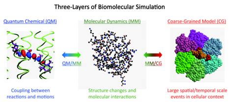 Welcome To Molecular Scale Team