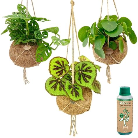 Hangplanten Ecoworld Hangplant Xl Pot Set Tropical Stuks