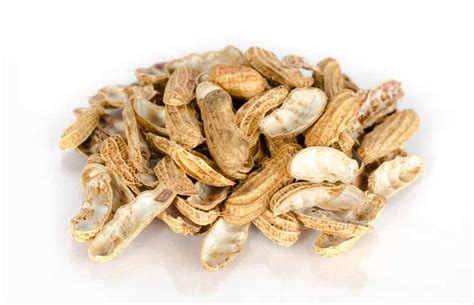 Can You Use Peanut Shells In Potting Soil Farmer Grows