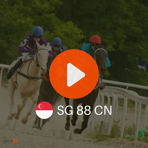 Free Horse Race Livestream for Free - Pace88 Horse