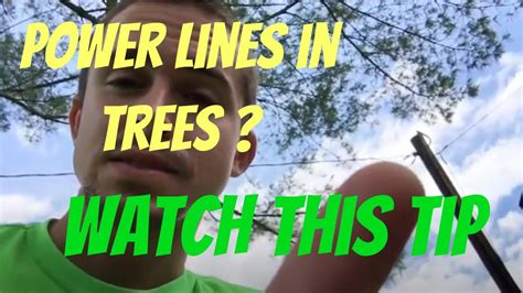 Power Lines In Trees Watch This Helpful Tip Youtube