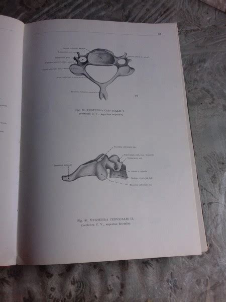 ATLAS DE ANATOMIE UMANA VOL I III FRANCISCUS KISS