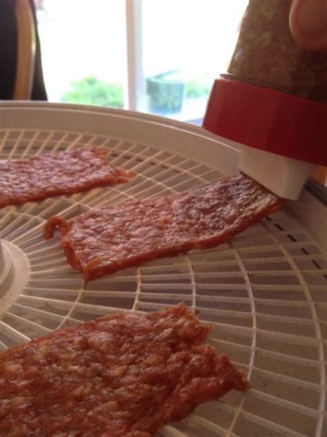 How To Make Beef Jerky With A Dehydrator Delishably