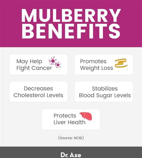 Mulberry Fruit Benefits Nutrition Recipes And Side Effects Dr Axe