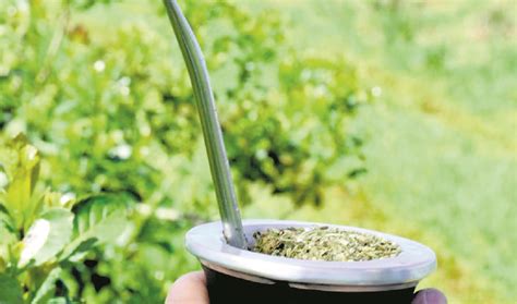 Yerba Mate Hoy El Precio Deber A Ser De A Pesos Por Kilo