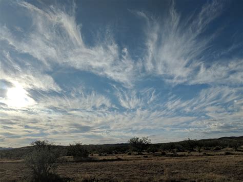 Desert Predators – Arizona’s Premiere Hunt Club