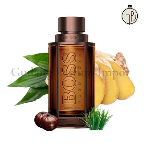 Jual HB The Scent Absolute for Men EDP 100 ml | Shopee Indonesia