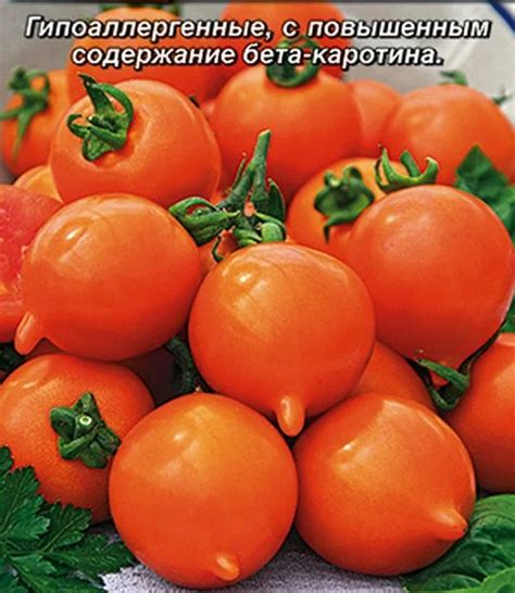Томат Смайлик: описание сорта помидоров, характеристики. Особенности ...