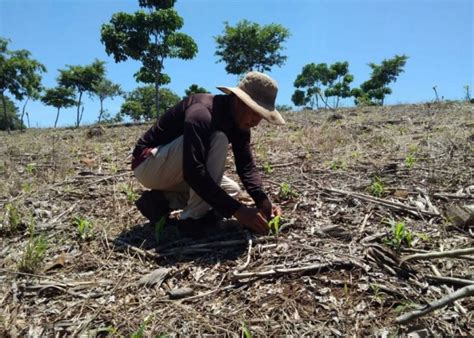 Ministerio De Agricultura Y Ganader A Apuesta Por Las Buenas Pr Cticas