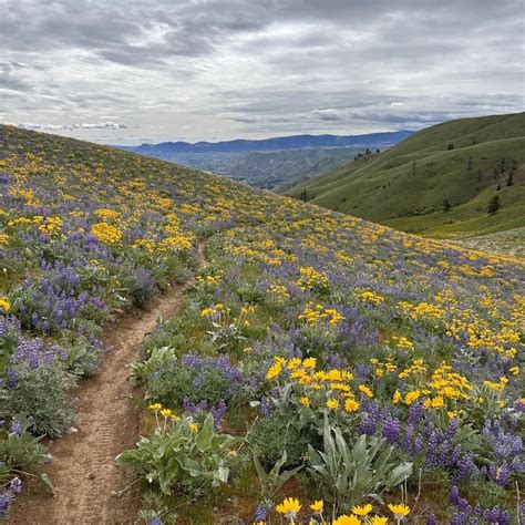 Riverside Okanogan County WA Farms And Ranches For Sale Property ID