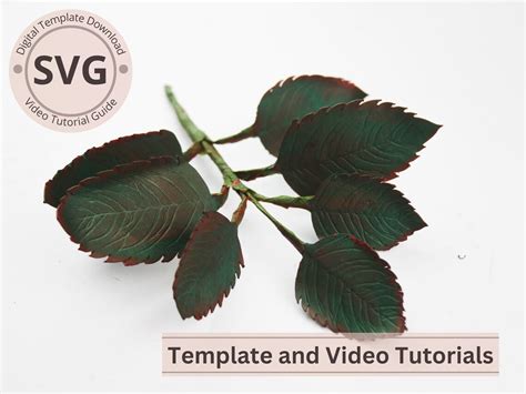 Paper Flower Rose Leaves Template Rose Leaves Digital Svg Video