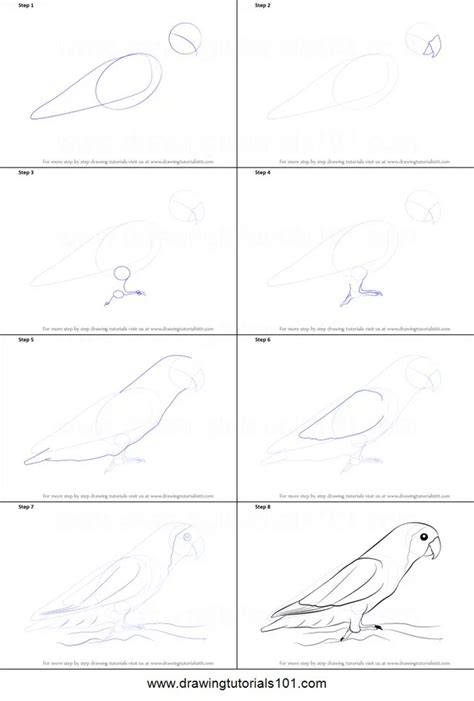 28 Easy Bird Drawings Ideas - Step by Step Guide - DIY Crafts