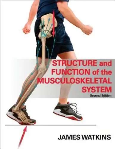 STRUCTURE ET FONCTION du système musculo squelettique par James Watkins