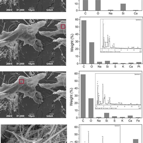 Morphological And Composition Analysis Of PM10 To Characterize The PM