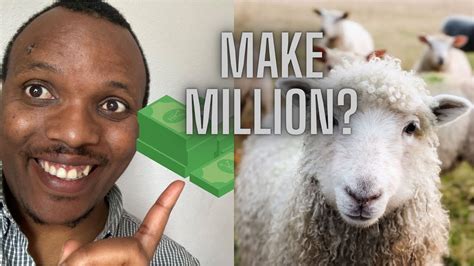 How To Make Millions From Sheep Farming In Kenya And Africa Youtube