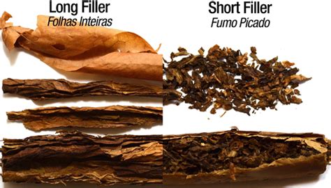 Understanding Cigar Components A Simple Guide To Filler Wrapper And Cigar Detective