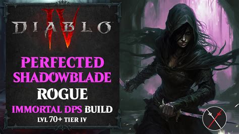 Diablo Lvl Perfected Twisting Blades Build Rogue Shadowblade