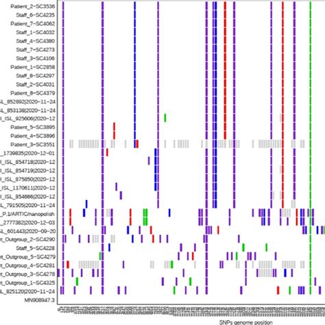 Whole Genome Sequencing Wgs Phylogenetic Tree And Snp Table Of The