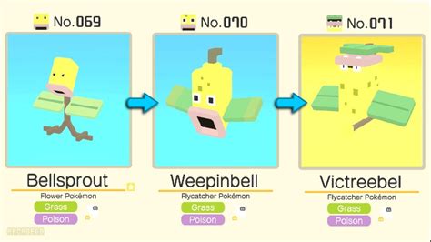 Bellsprout Evolution Chart