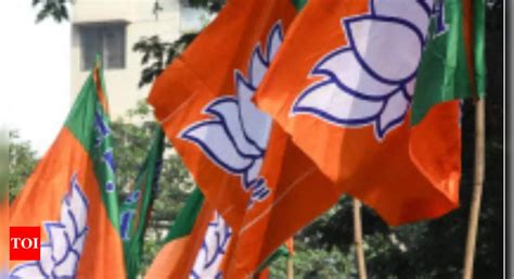 Bjp Assembly Elections Bjp Balances Caste Equations In First List For