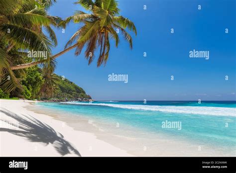 beautiful sunny beach stock photo alamy