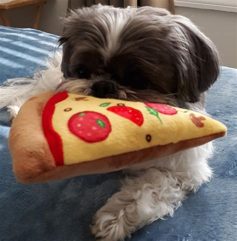 Frisco Pizza Slice Plush Squeaky Dog Toy Smallmedium