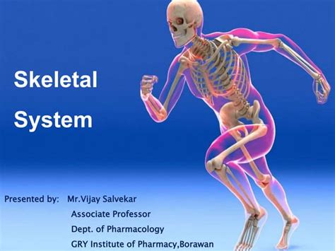 Skeletal Systemppt