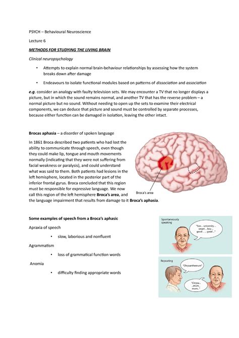 Behavioural Neuroscience PSYCH Behavioural Neuroscience Lecture 6