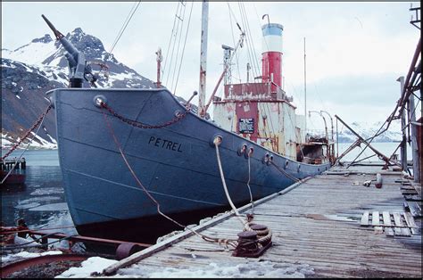 South Georgia The Whaler Petrel Grytviken Mv Petrel Flickr