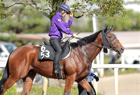 【注目馬動向】良血馬ダノンタッチダウンはg1初制覇がかかる朝日杯fsを視野 Umatoku 馬トク