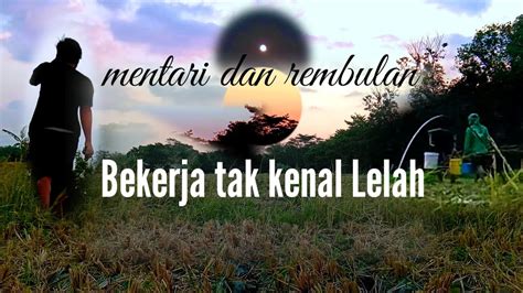 Mentari Berganti Rembulan Menyiram Tanaman Sayur Mentimun Petani