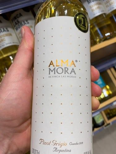 2019 Bodega Finca Las Moras Alma Mora Pinot Grigio Vivino