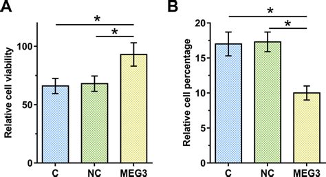 Overexpression Of Meg3 Improved The Viability And Inhibited The