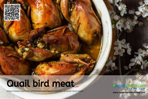 Health benefits of Quail Bird Meat